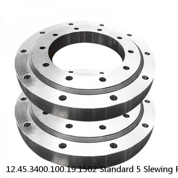 12.45.3400.100.19.1502 Standard 5 Slewing Ring Bearings