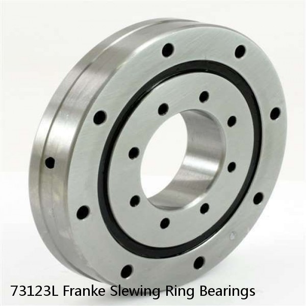 73123L Franke Slewing Ring Bearings