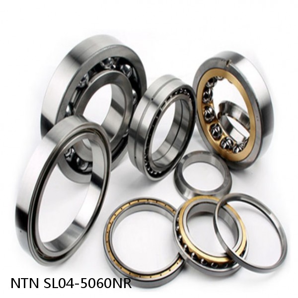 SL04-5060NR NTN Cylindrical Roller Bearing