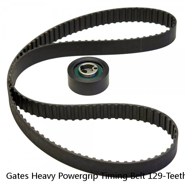 Gates Heavy Powergrip Timing Belt 129-Teeth 1/2