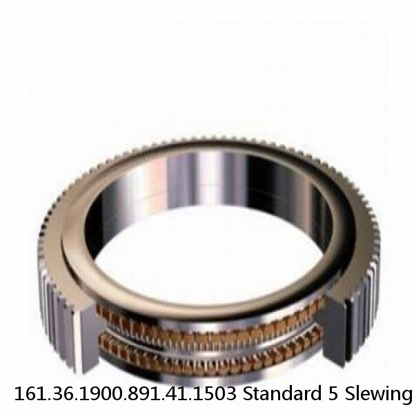 161.36.1900.891.41.1503 Standard 5 Slewing Ring Bearings #1 small image