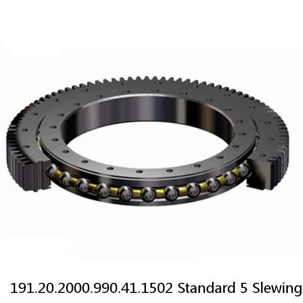 191.20.2000.990.41.1502 Standard 5 Slewing Ring Bearings #1 small image