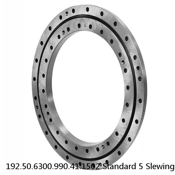 192.50.6300.990.41.1502 Standard 5 Slewing Ring Bearings