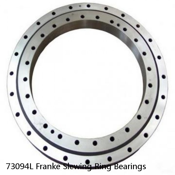 73094L Franke Slewing Ring Bearings