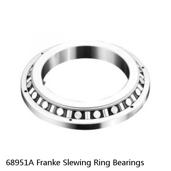 68951A Franke Slewing Ring Bearings #1 small image
