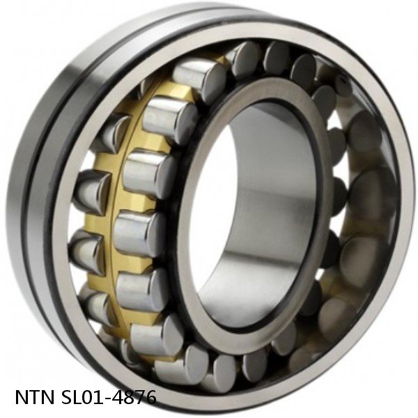 SL01-4876 NTN Cylindrical Roller Bearing #1 small image