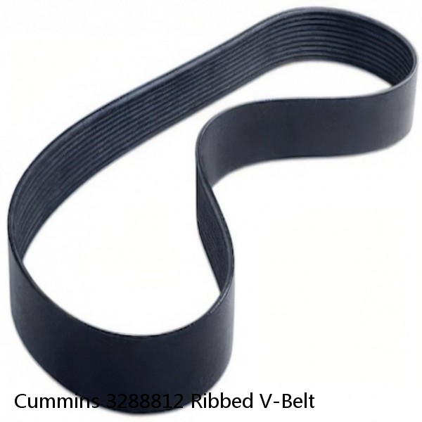 Cummins 3288812 Ribbed V-Belt #1 small image