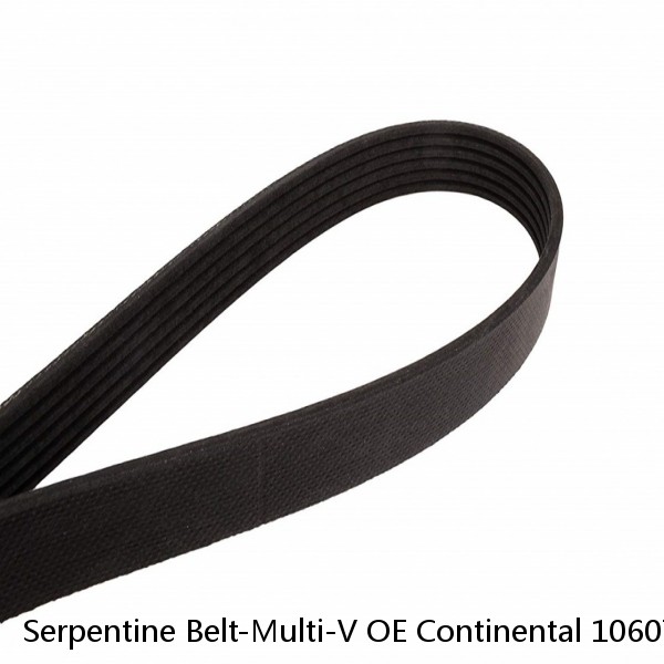 Serpentine Belt-Multi-V OE Continental 1060783 #1 small image