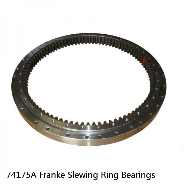 74175A Franke Slewing Ring Bearings #1 image