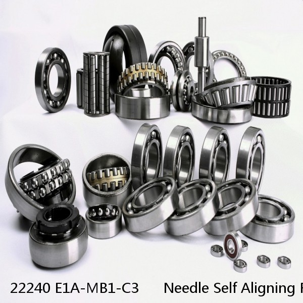 22240 E1A-MB1-C3      Needle Self Aligning Roller Bearings #1 image