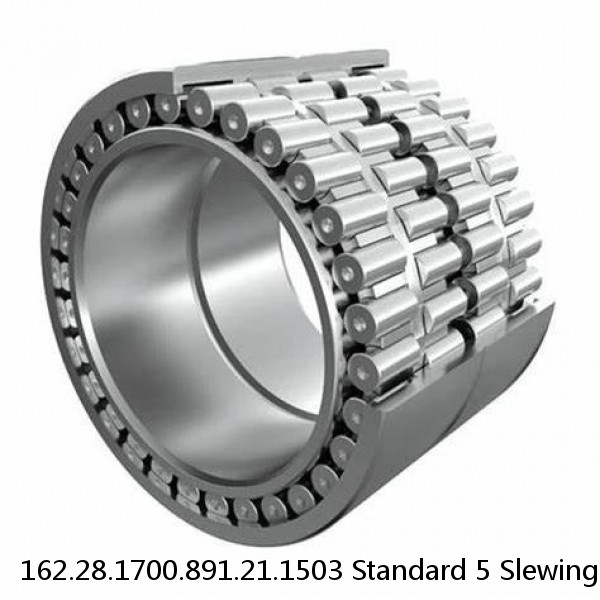162.28.1700.891.21.1503 Standard 5 Slewing Ring Bearings #1 image