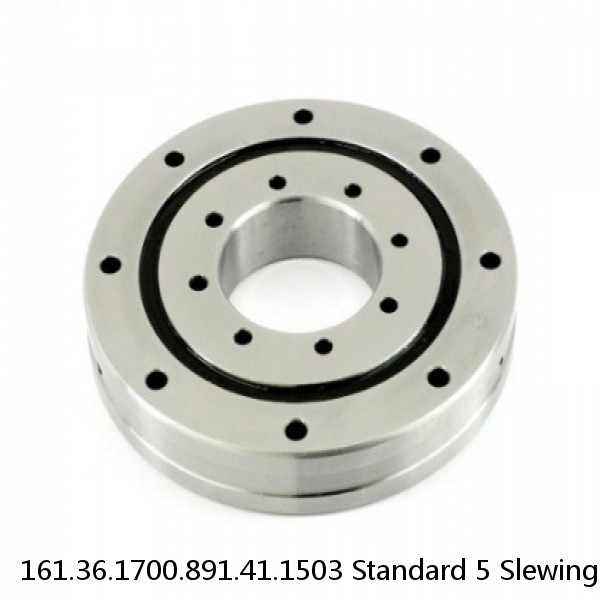 161.36.1700.891.41.1503 Standard 5 Slewing Ring Bearings #1 image