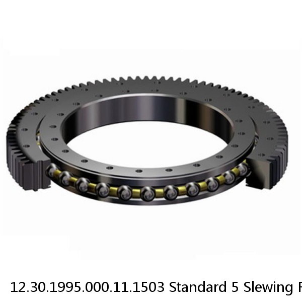 12.30.1995.000.11.1503 Standard 5 Slewing Ring Bearings #1 image