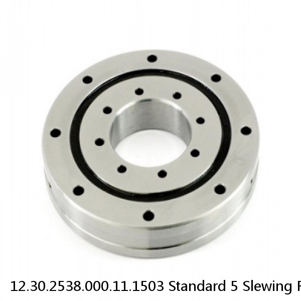12.30.2538.000.11.1503 Standard 5 Slewing Ring Bearings #1 image