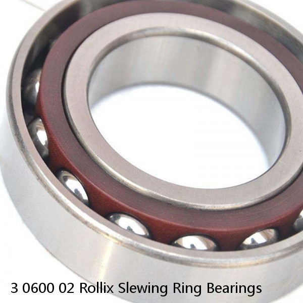 3 0600 02 Rollix Slewing Ring Bearings #1 image