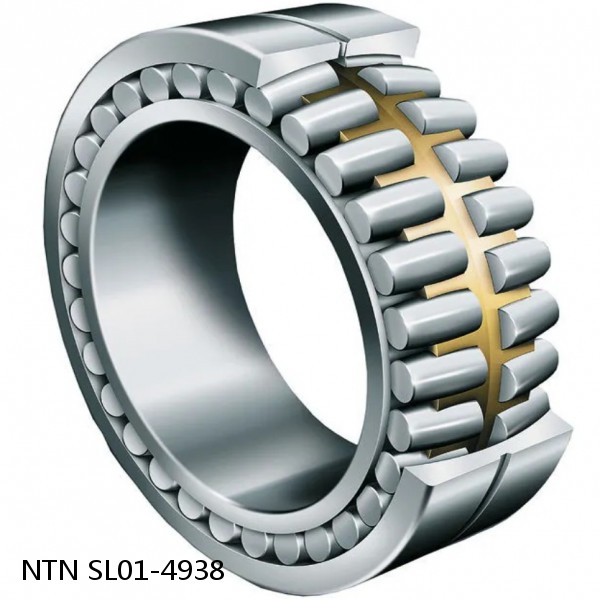 SL01-4938 NTN Cylindrical Roller Bearing #1 image
