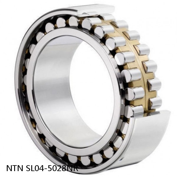 SL04-5028NR NTN Cylindrical Roller Bearing #1 image